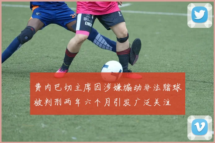 费内巴切主席因涉嫌煽动非法赌球被判刑两年六个月引发广泛关注