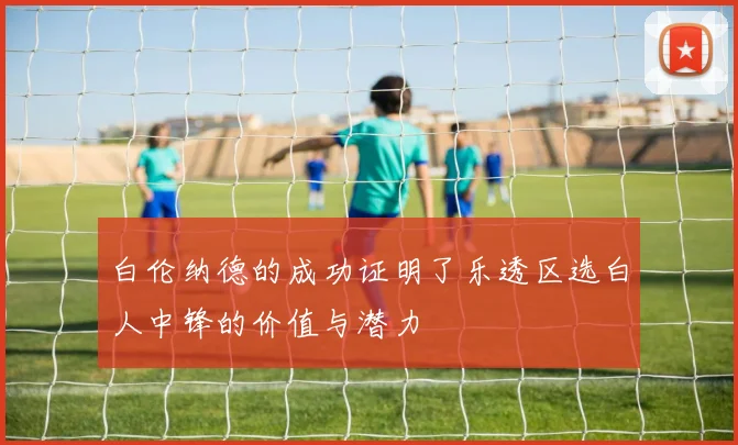 白伦纳德的成功证明了乐透区选白人中锋的价值与潜力